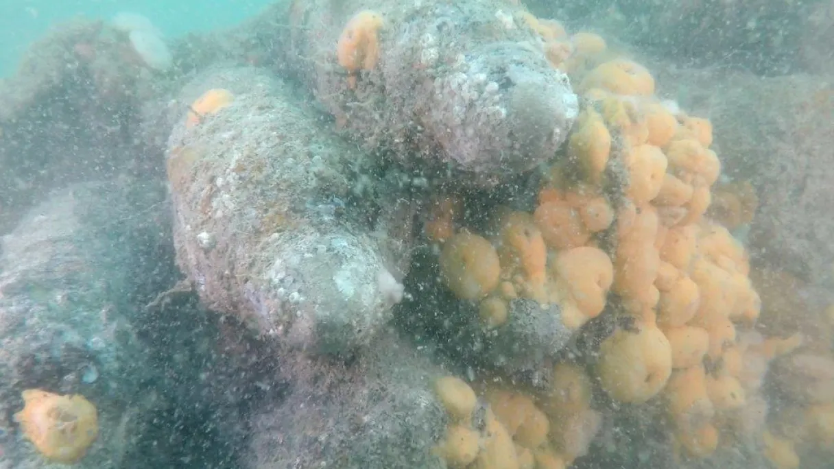 onderzoek north sea wrecks